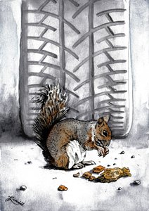 Eichhörnchen bei Reifenspur