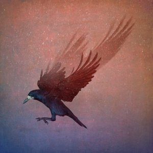 Vogelreich von Johan Lilja