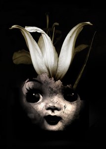 Puppenblume, 2013