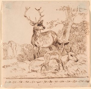 Ein Hirsch, eine Hirschkuh und ihr Kitz