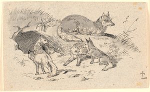 Der Fuchs