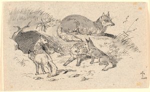 Der Fuchs