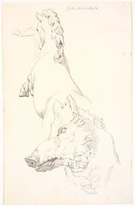 Studie nach antiken Skulpturen: Wildschweinkopf, Oberkörper eines steigenden Pferdes, von hinten gesehen und ein Arm mit Draperie von Johan Thomas Lundbye