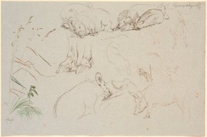 Studienblatt aus Vognserup. Verschiedene Studien von Schweinen. Eine Studie von Pferdehufen. Eine Studie von einem Hundekopf und eine Studie von Gras von Johan Thomas Lundbye