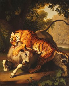 Ein Tiger greift einen Stier an, 1785 von Johan Wenzel Peter