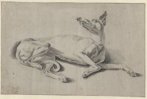 Liegender Windhund