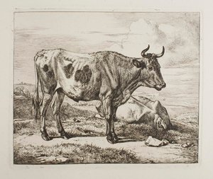 Vieh auf dem Feld von Johann Adam Klein