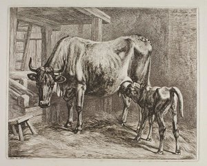 Kuh mit saugendem Kalb von Johann Adam Klein