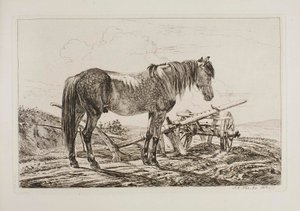Pferd bei einem Pflug von Johann Adam Klein