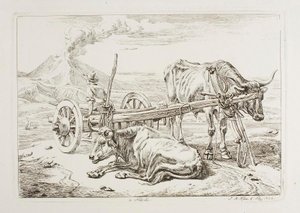 In Neapel (Ochsen und ein Wagen in Neapel) von Johann Adam Klein