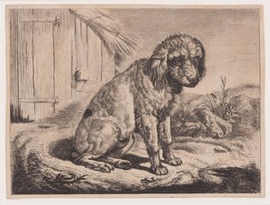 Sitzender Hund von Johann Adam Klein