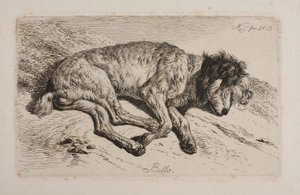 Schlafender Hund, Bello von Johann Adam Klein