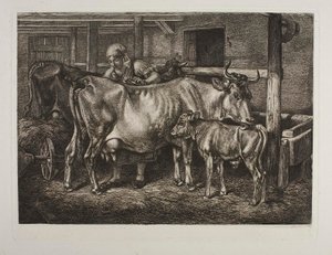 Die Kühe werden gepflegt von Johann Adam Klein