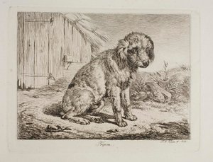 Der Pudel Fripon von Johann Adam Klein