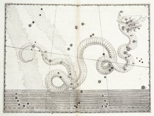 Konstellation von Serpens Caput und Serpens Cauda, ca. 1603