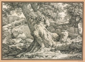 Baumstudie auf felsigem Terrain von Johann Christian Reinhart
