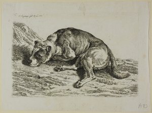 Liegender Hund, aus Die Zweite Thierfolge