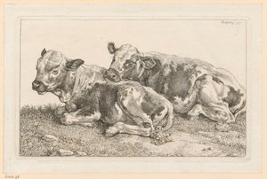 Zwei Kälbchen von Johann Christian Reinhart