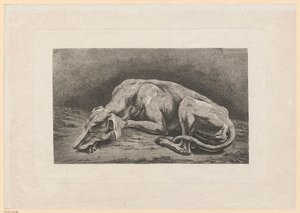 Schlafender Windhund von Johann Christian Reinhart