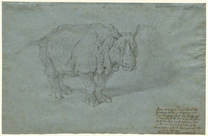 Das Nashorn "Miss Clara" von Johann Elias Ridinger
