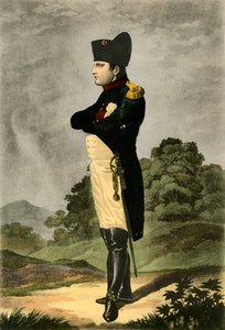 Napoleon, Kaiser der Franzosen und König von Italien