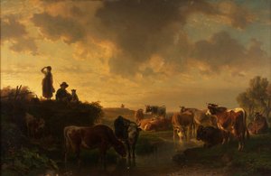 Abend auf der Viehweide