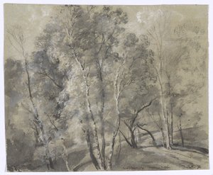 Laubbäume am Hang von Johann Georg von Dillis