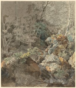 Wasserfälle in einem Bergwald