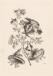 Dreieckige Blumen
