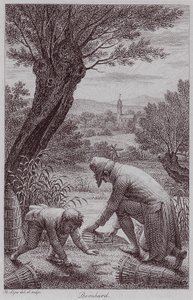 BernhardJHLipsi von Johann Heinrich Lips