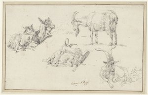 Studien von einer Ziege von Johann Heinrich Roos (possibly)