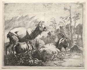 Ziegen, 1665 von Johann Heinrich Roos