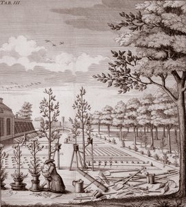 Illustration einer Gartenszene, 1753