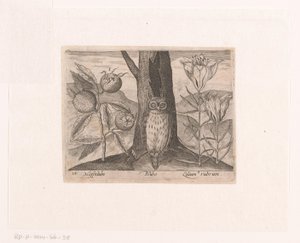 Serie von Drucken mit Blumen und Tieren in einer Landschaft von Johann Hogenberg