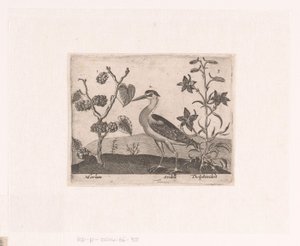 Serie von Drucken mit Blumen und Tieren in einer Landschaft (Landschaften mit Tieren, Pflanzen und Blumen) von Johann Hogenberg