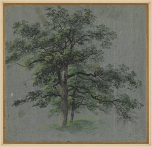 Zwei Bäume (recto) von Johann Jacob Dorner