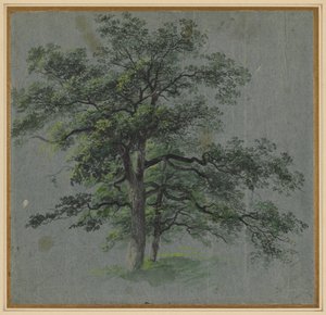 Zwei Bäume, erste Hälfte 1800er von Johann Jacob Dorner