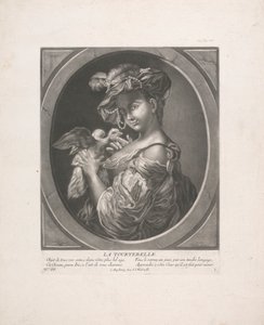 Die Turteltaube