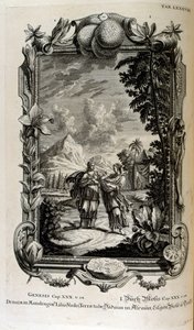 Alraunenpflanze. Sie ist oft als Alraune bekannt von Johann Jakob Scheuchzer