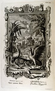Die Schöpfungsgeschichte der Genesis ist der Schöpfungsmythos sowohl des Judentums als auch des Christentums. Der fünfte Schöpfungstag: Tiere werden erschaffen