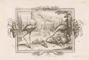 Zwei Flamingos von Johann Jakob Stelzer