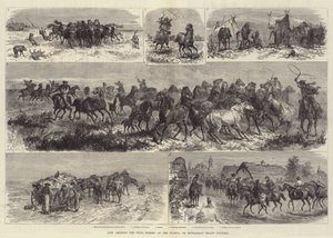 Leben unter den Wildpferden der Puszta, oder Ungarische Heide