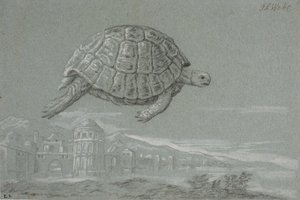 Studie einer Schildkröte und Aussicht auf eine befestigte Stadt am Meer (Venedig)