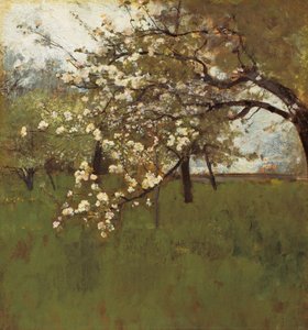 Blühender Apfelbaum von Johann Sperl