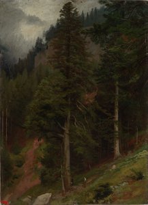 Abhang im Tannenwald von Johann Wilhelm Schirmer
