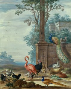 Eine italienische Landschaft mit einem Pfau, Fasan, Flamingo und anderen Vögeln von Johannes Bronckhorst