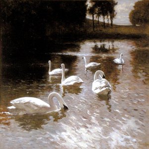 Schwäne auf einem See von Johannes Cornelis van Essen