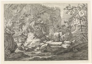 Schlucht mit Felsbrocken und Bäumen (Landschaften im Chartreuse-Gebirge)