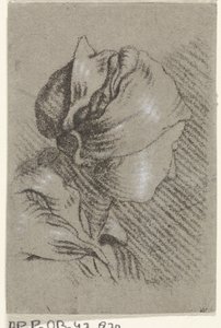 Frauenbüste von Johannes Janson (possibly)