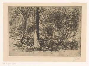 Waldrand